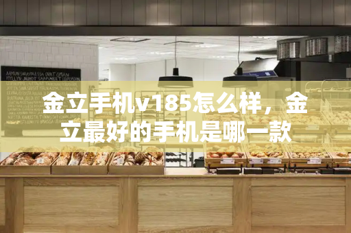 金立手机v185怎么样，金立最好的手机是哪一款-第1张图片-星选测评