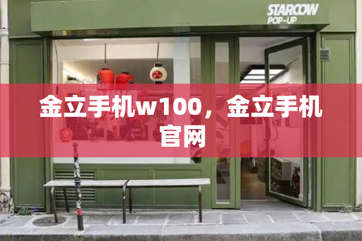 金立手机w100，金立手机官网-第1张图片-星选测评