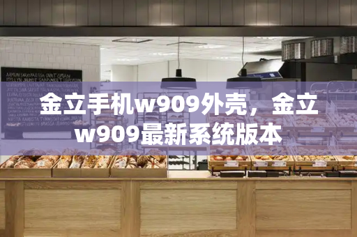 金立手机w909外壳，金立w909最新系统版本-第1张图片-星选测评