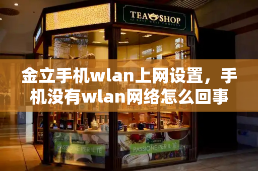 金立手机wlan上网设置，手机没有wlan网络怎么回事-第1张图片-星选测评