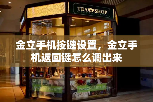 金立手机按键设置，金立手机返回键怎么调出来-第1张图片-星选测评