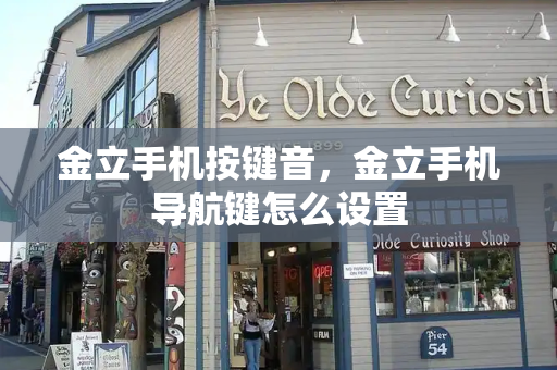 金立手机按键音，金立手机导航键怎么设置-第1张图片-星选测评