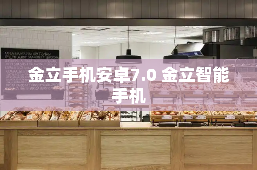 金立手机安卓7.0 金立智能手机-第1张图片-星选测评