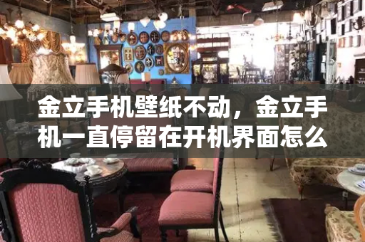 金立手机壁纸不动，金立手机一直停留在开机界面怎么办-第1张图片-星选测评