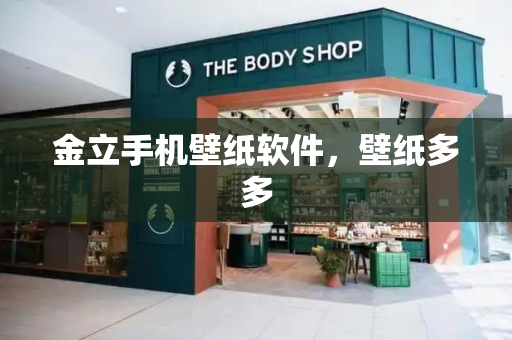 金立手机壁纸软件，壁纸多多