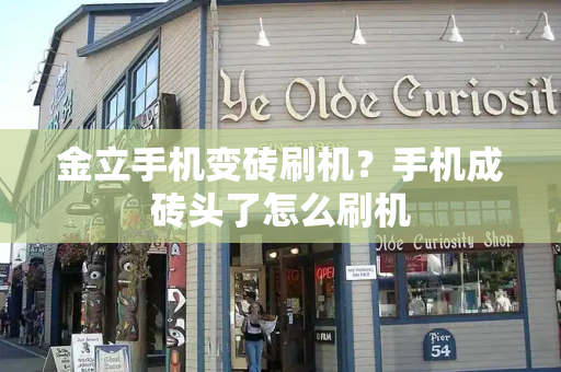 金立手机变砖刷机？手机成砖头了怎么刷机-第1张图片-星选测评