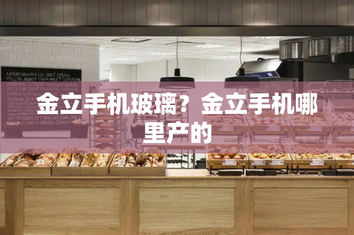 金立手机玻璃？金立手机哪里产的-第1张图片-星选测评