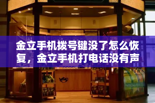金立手机拨号键没了怎么恢复，金立手机打电话没有声音怎么回事-第1张图片-星选测评