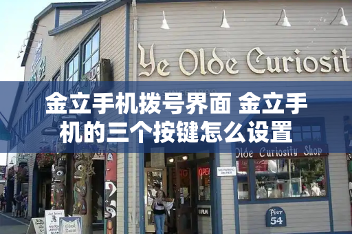 金立手机拨号界面 金立手机的三个按键怎么设置-第1张图片-星选测评