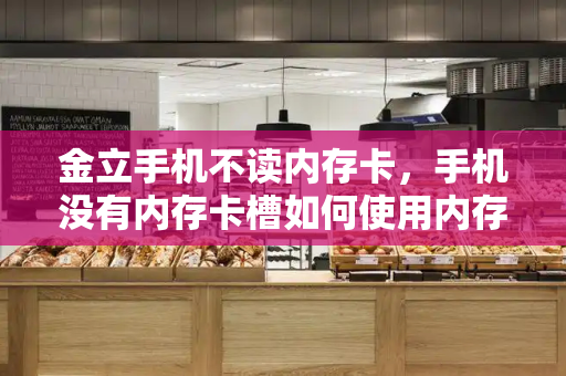 金立手机不读内存卡，手机没有内存卡槽如何使用内存卡