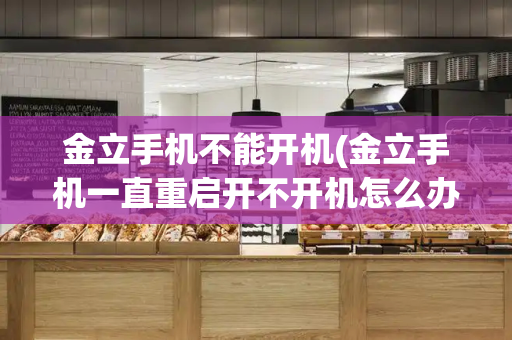 金立手机不能开机(金立手机一直重启开不开机怎么办)-第1张图片-星选测评