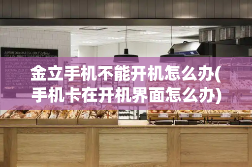 金立手机不能开机怎么办(手机卡在开机界面怎么办)-第1张图片-星选测评