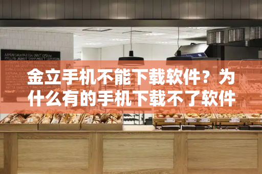 金立手机不能下载软件？为什么有的手机下载不了软件-第1张图片-星选测评