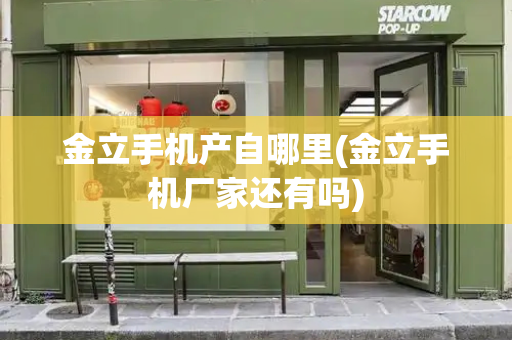 金立手机产自哪里(金立手机厂家还有吗)-第1张图片-星选测评