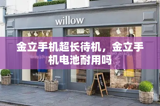 金立手机超长待机，金立手机电池耐用吗-第1张图片-星选测评
