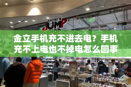 金立手机充不进去电？手机充不上电也不掉电怎么回事-第1张图片-星选测评
