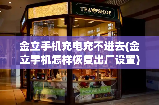 金立手机充电充不进去(金立手机怎样恢复出厂设置)