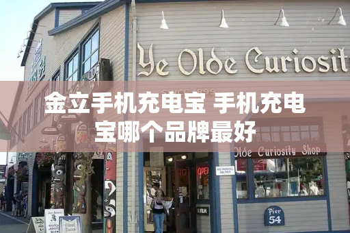 金立手机充电宝 手机充电宝哪个品牌最好-第1张图片-星选测评