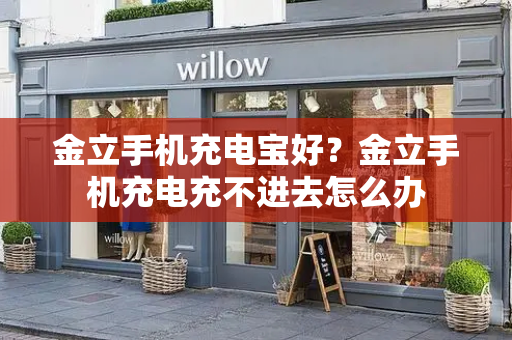 金立手机充电宝好？金立手机充电充不进去怎么办-第1张图片-星选测评