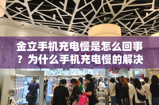 金立手机充电慢是怎么回事？为什么手机充电慢的解决方法-第1张图片-星选测评
