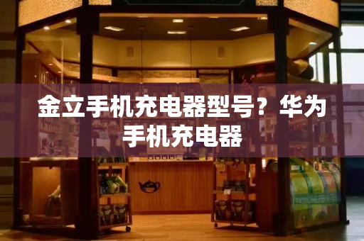金立手机充电器型号？华为手机充电器