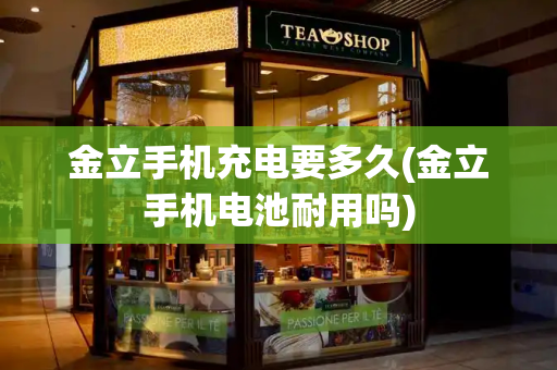 金立手机充电要多久(金立手机电池耐用吗)-第1张图片-星选测评