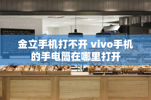 金立手机打不开 vivo手机的手电筒在哪里打开-第1张图片-星选测评