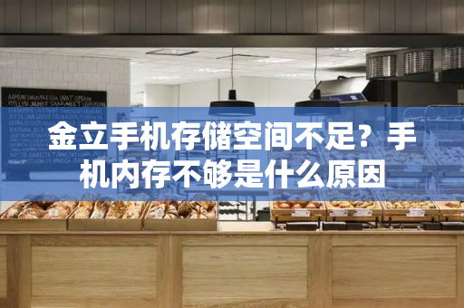 金立手机存储空间不足？手机内存不够是什么原因-第1张图片-星选测评