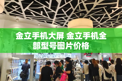 金立手机大屏 金立手机全部型号图片价格-第1张图片-星选测评