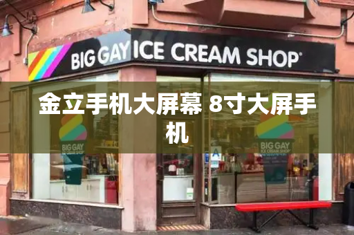 金立手机大屏幕 8寸大屏手机
