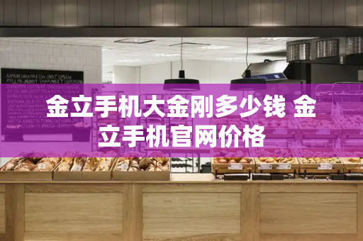金立手机大金刚多少钱 金立手机官网价格-第1张图片-星选测评