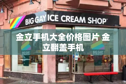 金立手机大全价格图片 金立翻盖手机