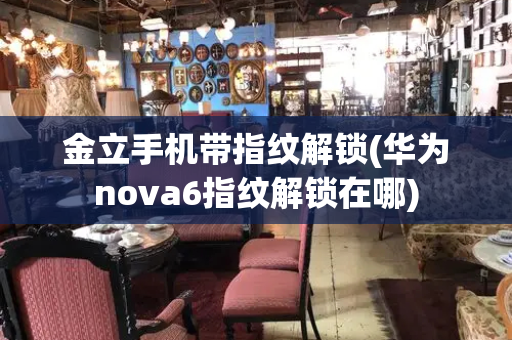 金立手机带指纹解锁(华为nova6指纹解锁在哪)