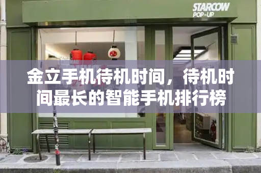 金立手机待机时间，待机时间最长的智能手机排行榜-第1张图片-星选测评