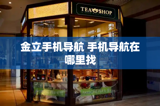 金立手机导航 手机导航在哪里找-第1张图片-星选测评