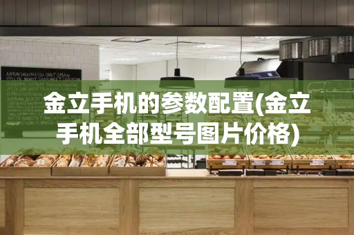 金立手机的参数配置(金立手机全部型号图片价格)-第1张图片-星选测评