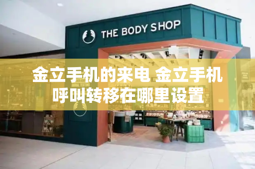 金立手机的来电 金立手机呼叫转移在哪里设置-第1张图片-星选测评