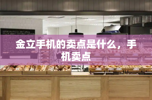 金立手机的卖点是什么，手机卖点-第1张图片-星选测评