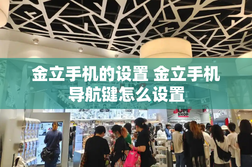 金立手机的设置 金立手机导航键怎么设置-第1张图片-星选测评