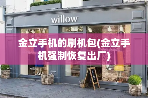 金立手机的刷机包(金立手机强制恢复出厂)-第1张图片-星选测评