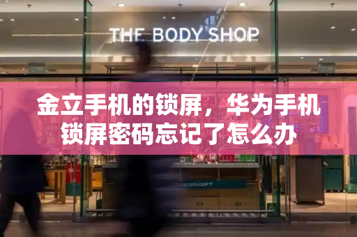 金立手机的锁屏，华为手机锁屏密码忘记了怎么办-第1张图片-星选测评