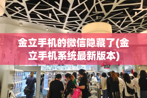 金立手机的微信隐藏了(金立手机系统最新版本)