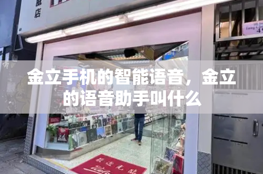 金立手机的智能语音，金立的语音助手叫什么-第1张图片-星选测评
