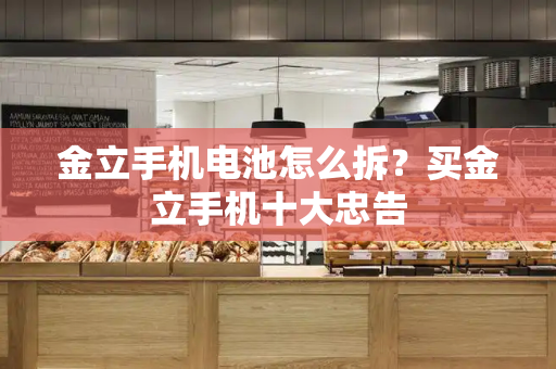 金立手机电池怎么拆？买金立手机十大忠告-第1张图片-星选测评