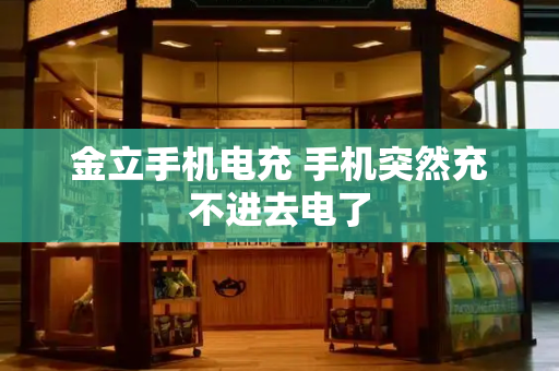 金立手机电充 手机突然充不进去电了