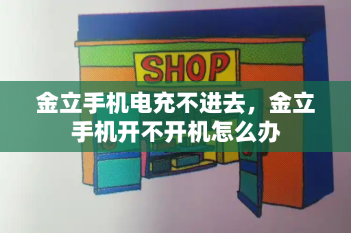 金立手机电充不进去，金立手机开不开机怎么办-第1张图片-星选测评