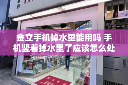 金立手机掉水里能用吗 手机竖着掉水里了应该怎么处理-第1张图片-星选测评
