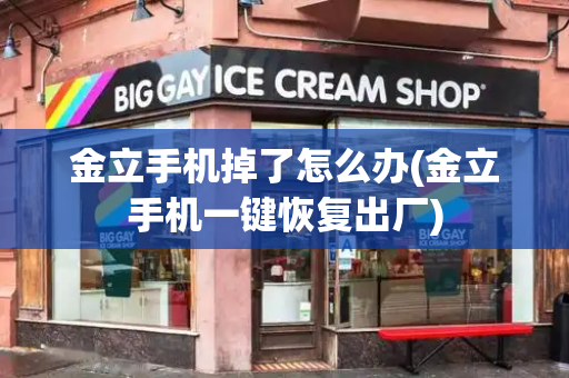 金立手机掉了怎么办(金立手机一键恢复出厂)