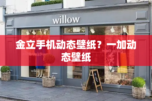 金立手机动态壁纸？一加动态壁纸