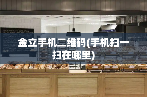 金立手机二维码(手机扫一扫在哪里)